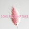 120 PCS Pink Dried Pampas Grass Decor, 17-inch Pompas Floral(Pink)